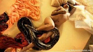 Bollywood and The Sexy Snake porn video